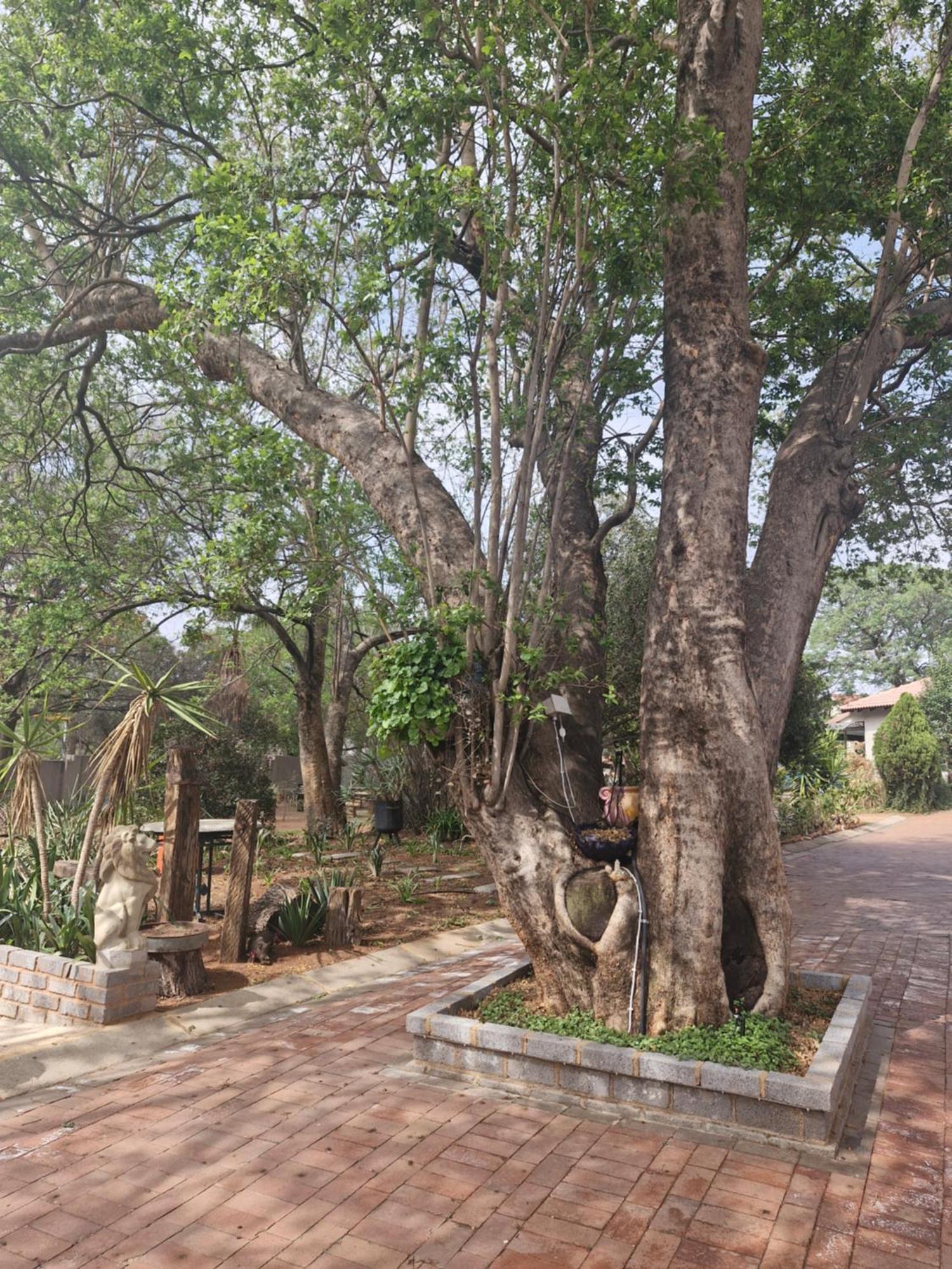 Epicure Home Guesthouse ไฮเดิลแบร์ค ภายนอก รูปภาพ